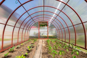 Farming news in Hampshire